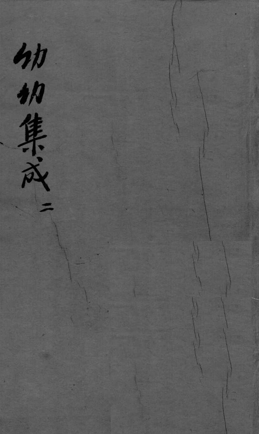 幼科集成  2